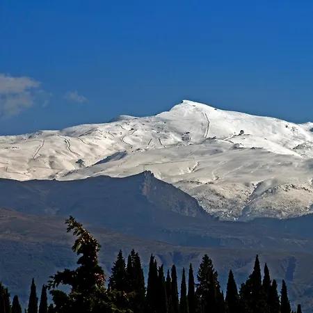 Ξενοδοχείο Porcel Alixares