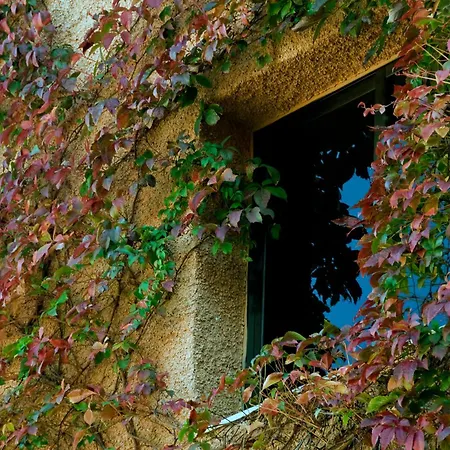 Porcel Alixares Granada